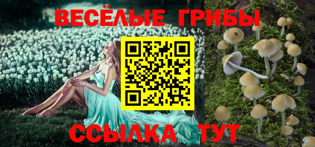 Артём  Галлюциногенные грибы мицелий  Вход с VPN 